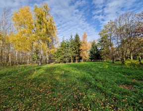 Działka na sprzedaż, warszawski zachodni Błonie Cholewy Cholewy 24, 295 098 zł, 2154 m2, 1539199333