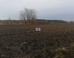 Działka na sprzedaż, Łódzki Wschodni Koluszki Jeziorko, 399 150 zł, 8870 m2, R55-GS-11079-55