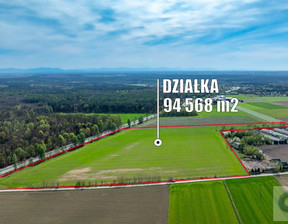 Działka na sprzedaż, Mikołowski Orzesze Woszczyce Centralna, 13 999 000 zł, 94 568 m2, CNF-GS-792-4