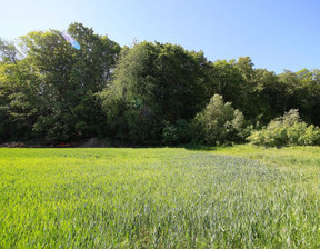 Działka na sprzedaż, Jaworski Paszowice Myślibórz, 199 000 zł, 1618 m2, 168/4132/OGS