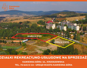Handlowo-usługowy na sprzedaż, Kamiennogórski Kamienna Góra Krzeszowska, 860 000 zł, 17 435 m2, 39053/3186/OGS
