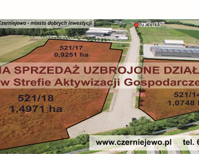 Przemysłowy na sprzedaż, Gnieźnieński Czerniejewo, 659 560 zł, 2998 m2, 40108/3186/OGS