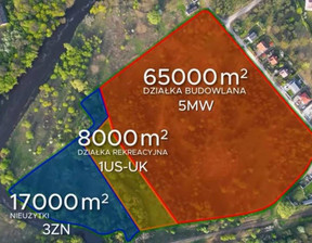 Działka na sprzedaż, Toruński Lubicz Lubicz Górny Zdrojowa, 19 800 000 zł, 90 000 m2, 40667/3186/OGS