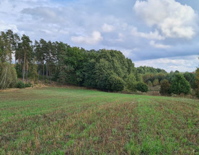 Budowlany na sprzedaż, Kościerski Liniewo Stary Wiec, 50 200 zł, 1043 m2, 40196/3186/OGS