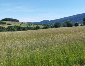 Działka na sprzedaż, Myślenicki Wiśniowa Kobielnik, 550 000 zł, 11 500 m2, 1285125