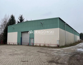 Magazyn, hala do wynajęcia, Pruszkowski Brwinów Kanie, 16 000 zł, 1300 m2, 210/4790/OOW