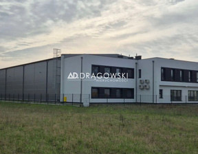 Magazyn, hala do wynajęcia, Nowodworski Czosnów Palmiry, 45 000 zł, 1269 m2, 179/4790/OOW