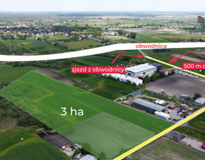 Działka na sprzedaż, Chełm Okszówek, 1 200 000 zł, 10 000 m2, 780143