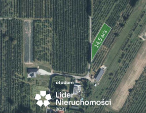 Budowlany na sprzedaż, Lubelski Jastków Dębówka, 199 000 zł, 1450 m2, 299990