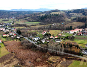 Działka na sprzedaż, Nowosądecki Stary Sącz Gaboń, 750 000 zł, 6900 m2, KN813529