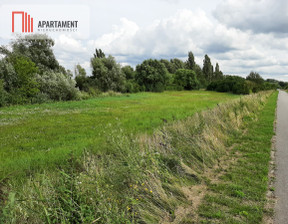 Działka na sprzedaż, Żniński Żnin, 59 500 zł, 1700 m2, 903856