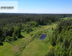 Działka na sprzedaż, Starogardzki Zblewo Borzechowo, 960 000 zł, 46 200 m2, 266507