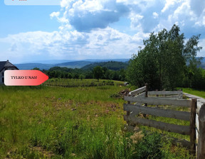 Budowlany-wielorodzinny na sprzedaż, Kłodzki Nowa Ruda, 370 000 zł, 2487 m2, 858621