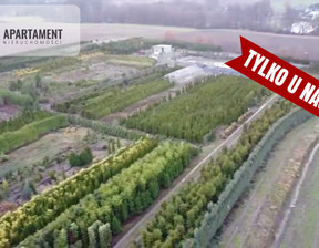 Rolny na sprzedaż, Trzebnicki Prusice Kopaszyn, 2 500 000 zł, 17 300 m2, 334951
