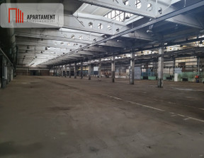 Magazyn do wynajęcia, Grudziądz, 18 000 zł, 1000 m2, 806081