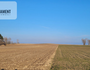 Działka na sprzedaż, Inowrocławski Złotniki Kujawskie Będzitówek, 110 000 zł, 16 400 m2, 917168