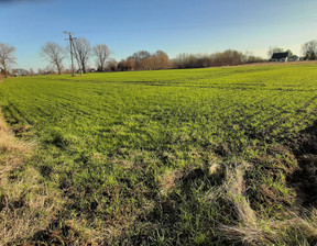 Działka na sprzedaż, Nowodworski Ostaszewo Piaskowiec, 530 000 zł, 4642 m2, 432528