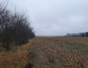 Budowlany na sprzedaż, Poznański (pow.) Suchy Las (gm.) Złotniki J. Kochanowskiego, 1 164 000 zł, 3326 m2, 30