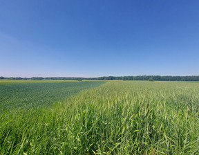 Działka na sprzedaż, Gliwicki (Pow.) Pilchowice (Gm.) Żernica Brzozowa, 610 000 zł, 7613 m2, 32/10839/OGS