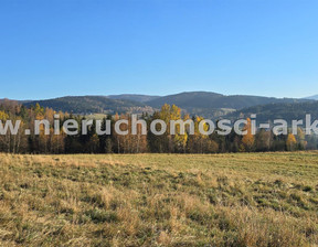 Rolny na sprzedaż, Limanowski Dobra Wilczyce, 81 900 zł, 2100 m2, ARK-GS-18802