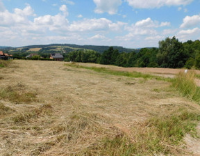 Budowlany na sprzedaż, Kłodzki Kłodzko Boguszyn, 249 000 zł, 2000 m2, 11430952