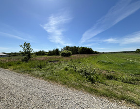 Działka na sprzedaż, Mielecki (Pow.) Radomyśl Wielki (Gm.) Podborze, 110 000 zł, 16 500 m2, 3188