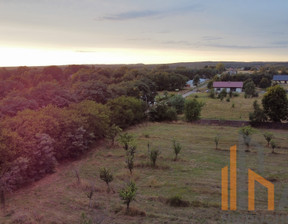 Działka na sprzedaż, Trzebnicki Oborniki Śląskie Uraz, 600 000 zł, 7500 m2, 302/8464/OGS