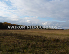 Działka na sprzedaż, Żyrardowski Puszcza Mariańska Wycześniak, 1 625 700 zł, 162 570 m2, AKM-GS-54954-57