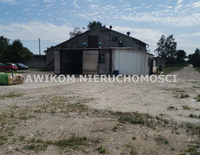 Fabryka, zakład na sprzedaż, Sochaczewski Rybno Sarnów, 1 200 000 zł, 9800 m2, AKM-BS-54859-1