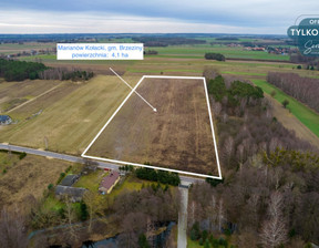 Działka na sprzedaż, Brzeziński Brzeziny Marianów Kołacki, 2 999 999 zł, 40 700 m2, 446874