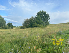 Działka na sprzedaż, Suwalski Rutka-Tartak Polimonie, 89 400 zł, 2913 m2, JOY935551797