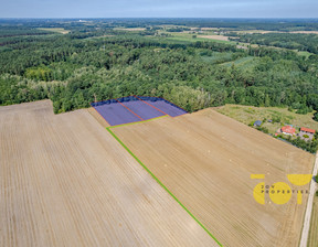 Działka na sprzedaż, Płoński Nowe Miasto Przepitki, 360 000 zł, 9000 m2, JOY600511