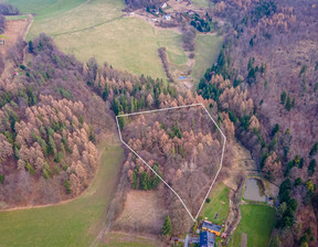 Leśne na sprzedaż, Cieszyński Goleszów Cisownica, 250 000 zł, 12 500 m2, NBS-GS-356