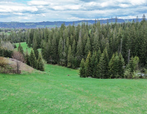 Działka na sprzedaż, Tatrzański Zakopane, 600 000 zł, 1486 m2, 2971