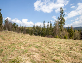 Budowlany na sprzedaż, Nowotarski Nowy Targ Marfiana Góra os. Marfiana Góra, 1 200 000 zł, 4046 m2, 2882