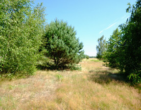 Działka na sprzedaż, Warszawski Zachodni Kampinos, 1 250 000 zł, 13 290 m2, DBI780450409