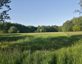 Działka na sprzedaż, Myszkowski Koziegłowy Siedlec Mały, 78 000 zł, 4300 m2, 137/12083/OGS