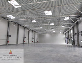 Magazyn do wynajęcia, Zabrze Szkubacza, 1687 euro (7018 zł), 250 m2, GE01812