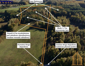 Działka na sprzedaż, Gdański (pow.) Przywidz (gm.) Przywidz, 449 000 zł, 20 000 m2, 76