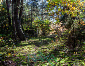 Budowlany na sprzedaż, Legionowski Serock Nowa Wieś, 345 000 zł, 3380 m2, 12/15145/OGS