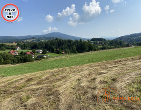 Budowlany na sprzedaż, Nowotarski Rabka-Zdrój, 280 000 zł, 2739 m2, PE423502