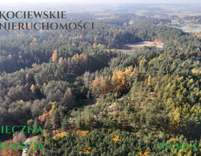 Działka na sprzedaż, Starogardzki Bobowo Grabowiec, 282 000 zł, 4700 m2, 260941