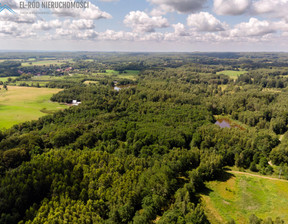 Działka na sprzedaż, Elbląski Młynary Zaścianki, 420 000 zł, 25 000 m2, 26