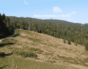 Działka na sprzedaż, Nowotarski (pow.) Ochotnica Dolna (gm.) Ochotnica Dolna Gorcowe, 371 000 zł, 17 451 m2, 167