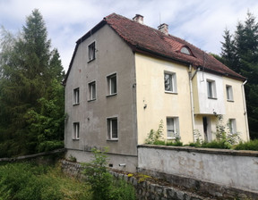 Hotel na sprzedaż, Wałbrzyski (pow.) Mieroszów (gm.) Golińsk, 298 000 zł, 269,09 m2, 47