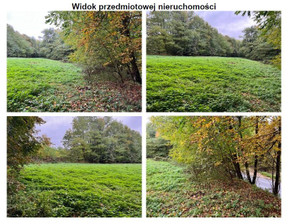 Rolny na sprzedaż, Kraków Kraków-Podgórze Tyniec, 1 550 000 zł, 3696 m2, 60