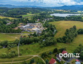 Budowlany na sprzedaż, Mysłakowice Dąbrowica, 9 900 000 zł, 46 303 m2, 881204