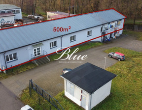 Lokal do wynajęcia, Drawski Drawsko Pomorskie Brzozowa, 14 000 zł, 500 m2, 2/14664/OHW