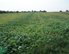 Działka na sprzedaż, Lubelski Jastków Natalin, 384 000 zł, 5900 m2, CTF-GS-2185-15