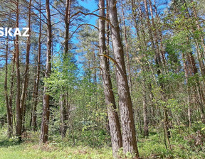 Leśne na sprzedaż, Myszkowski Poraj Żarki-Letnisko Wiejska, 380 000 zł, 3888 m2, DOM573343